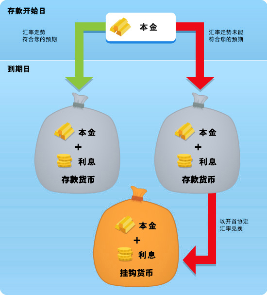 产品结构